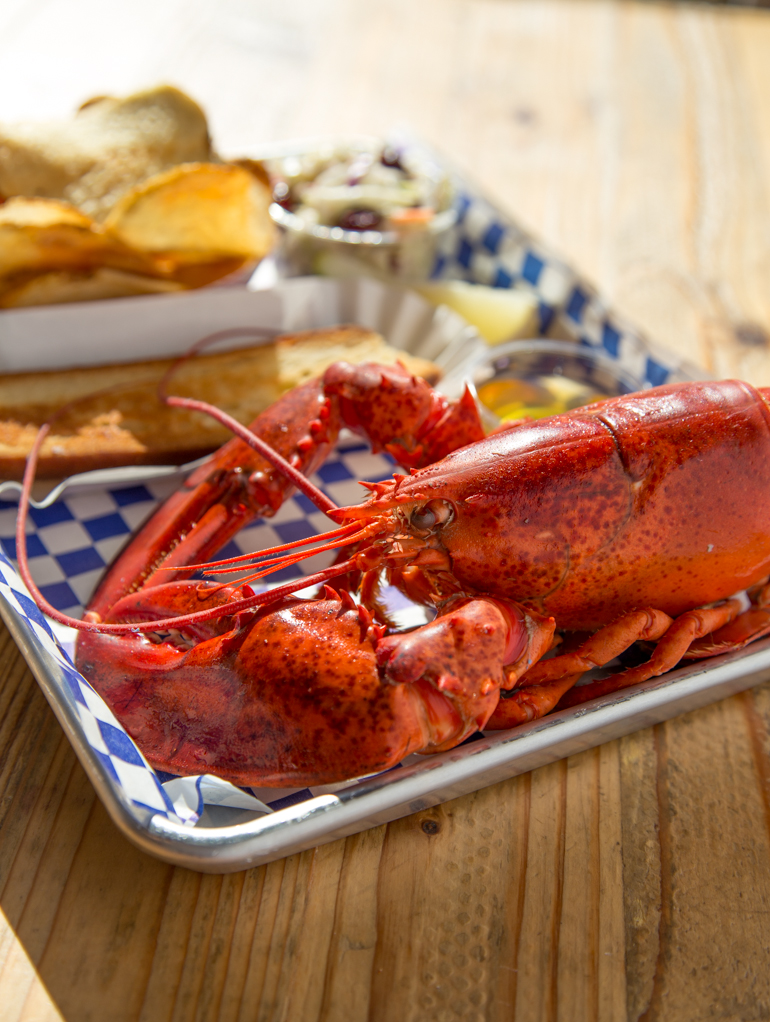 New England Lobster Co - Burlingame, CA - 2 lb Lobster Thursday!